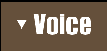 voice