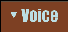 voice